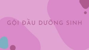 Gội đầu dưỡng sinh