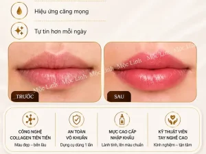 Phun xăm lông mày – phun môi phong thủy Nam Nữ Hải Phòng