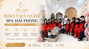 Đào tạo Banner