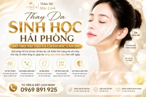 TDSH Banner