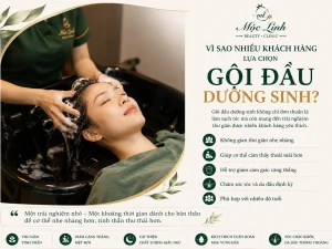 Gội Đầu Dưỡng Sinh Hải Phòng